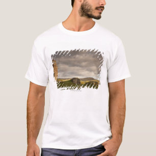 T-shirt Ruines de château de Cessford avec le pâturage d