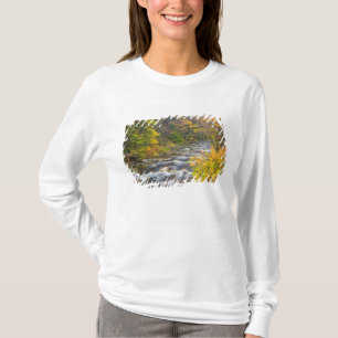 T-shirt Ruisseau Rugissant en automne dans le Green 2 du V