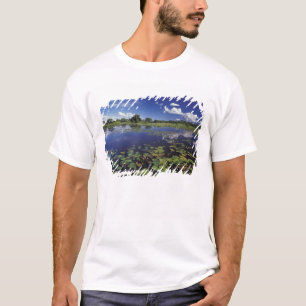 T-shirt S.A., Brésil, Voies navigables à Pantanal