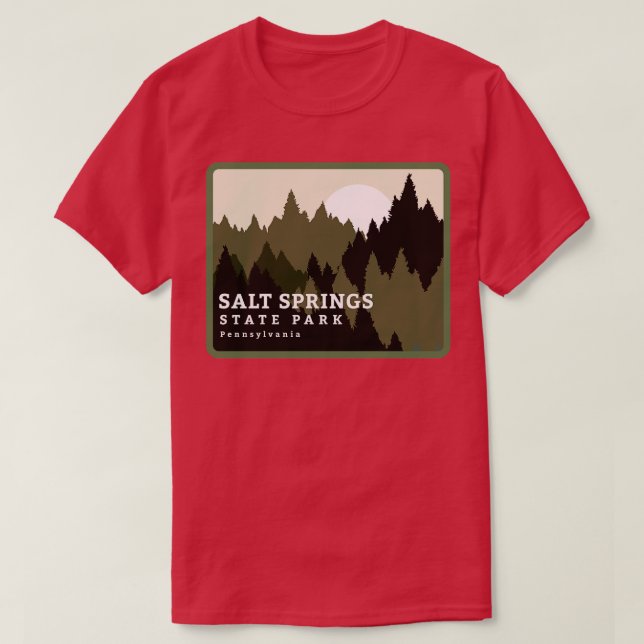 T-shirt Salt Springs State Park Pennsylvania Forest Sunris (Design devant)