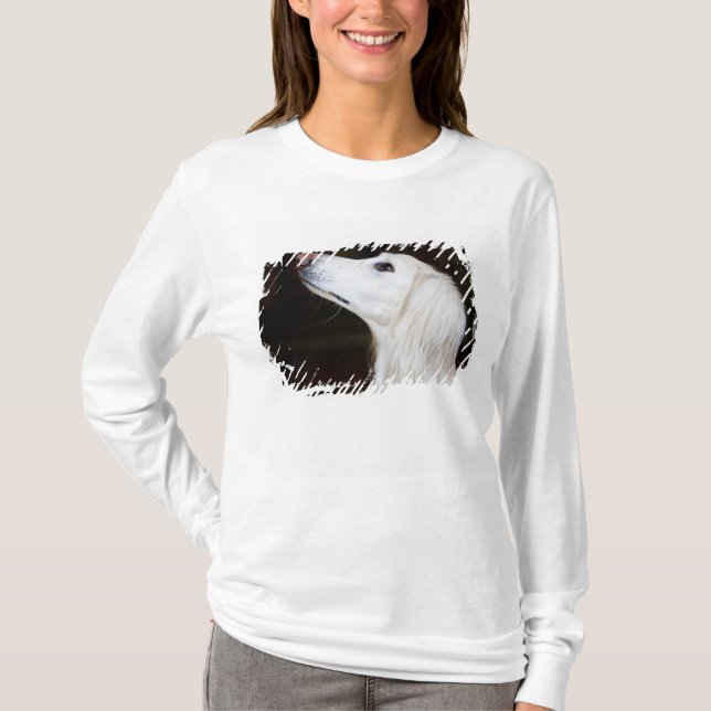 T-shirt Saluki recherchant (Devant)