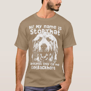 T-shirt Salut Mon Nom Est StopThat Drôle Les Grands Pyréné