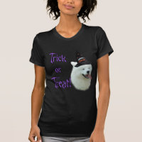 Samoyed Trick