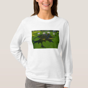 T-shirt San Francisco Californie Golden Gate Park et