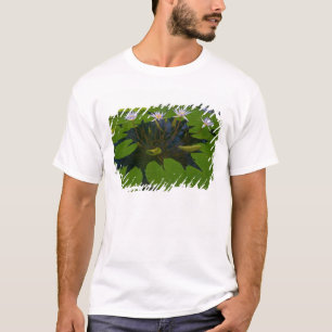 T-shirt San Francisco Californie, le parc Golden Gate et