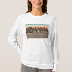 T-shirt Sarasota, la Floride - chameaux chez Ringling Bros