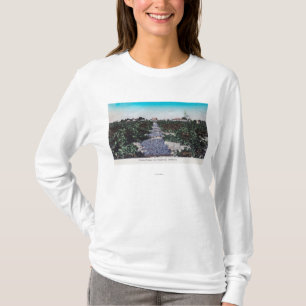 T-shirt Scène de vignoble des raisins DryingKingsburg, CA