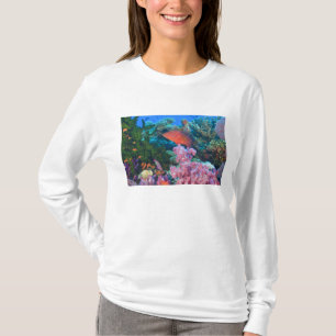 T-shirt Scolarisation Pseudanthias