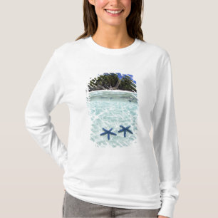 T-shirt Sea stars, Rock Islands, Palau 2