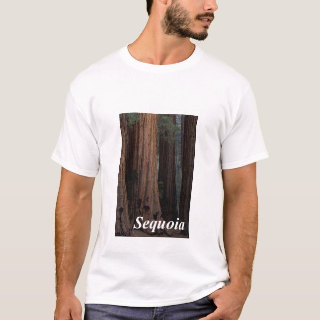 T-shirt Séquoia (Devant)