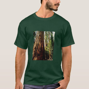 T-shirt Séquoias de Yosemite