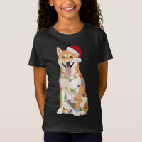 Shiba Inu illuminations de Noël Amoureux des chien