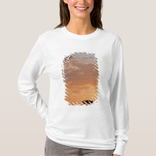 T-shirt Silhouette d'arbre dans la plaine, Masai Mara