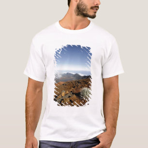 T-shirt Silversword sur le bord du cratère Haleakala de pr