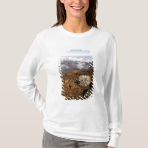T-shirt Silversword sur le bord du cratère Haleakala depui