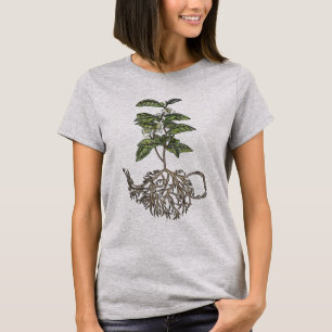 T-shirt Sinensis de camélia - plante de thé