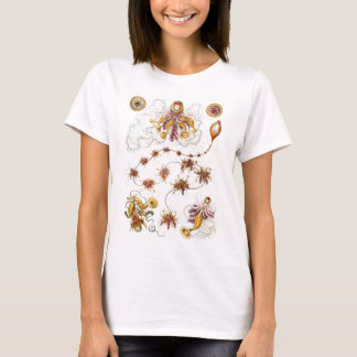 T-shirt Siphonophorae Ernst Haeckel Fine Art