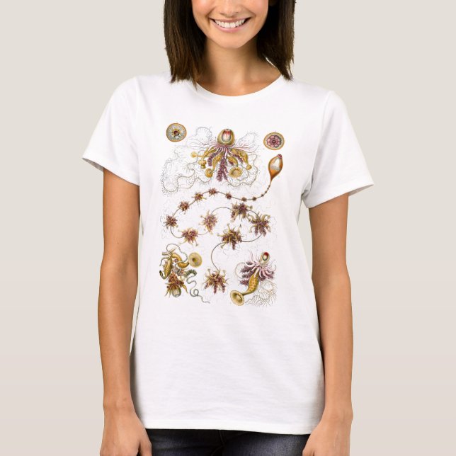 T-shirt Siphonophorae Ernst Haeckel Fine Art (Devant)