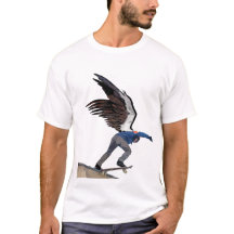 SK8R ANGEL