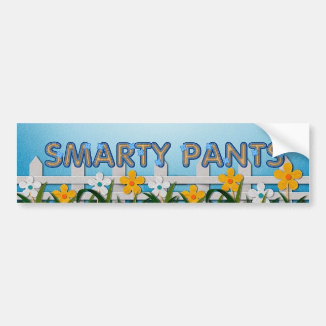 T-SHIRT Smarty-Hosen Autoaufkleber (Vorne)