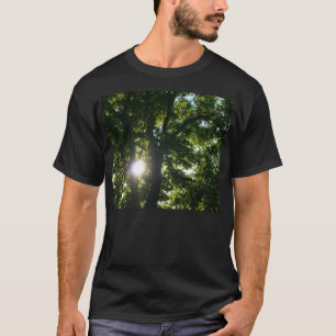 T-shirt Soleil brillant à travers les arbres