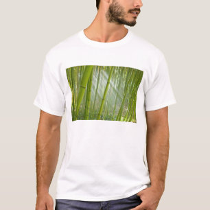 T-shirt Soleil matinal filtrant à travers le bambou