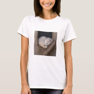 T-shirt Sommeil mignon de Fox arctique