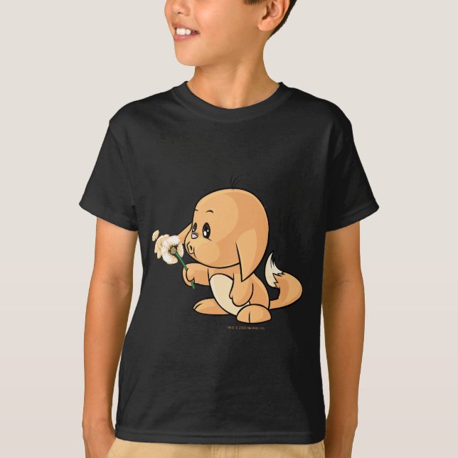 T-shirt Souhait de Kacheek orange (Devant)