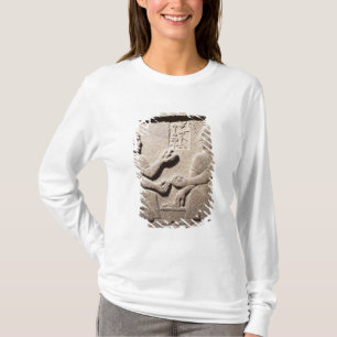 T-shirt Soulagement dépeignant le fils du Roi Araras