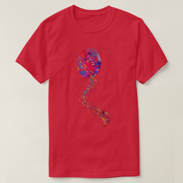 T-shirt Spine humaine (Design devant)