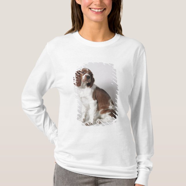T-shirt Springer spaniel (Devant)