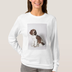 T-shirt Springer spaniel