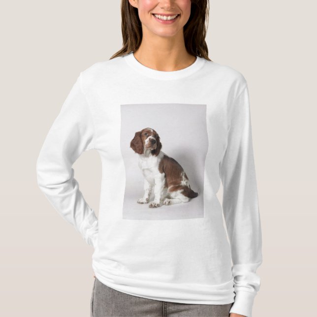 T-shirt Springer spaniel (Devant)