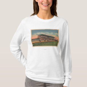 T-shirt Springfield, IL - cheval juste de raisons d'état