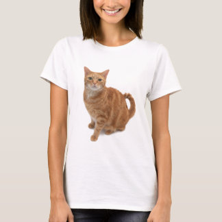 T-shirt Stade de Cat orange