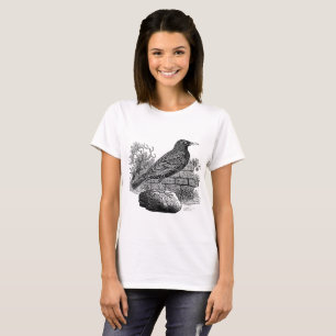 T-shirt Starling