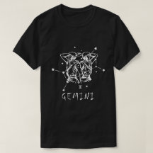 Starry Gemini