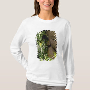 T-shirt Statue dans des informations sur l'emplacement de