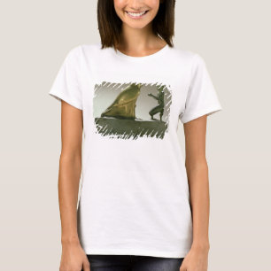 T-shirt Statue of King Taharqa worshipping the falcon-god