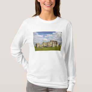 T-shirt Stonehenge (environ 2500 avant J.-C.), Patrimoine