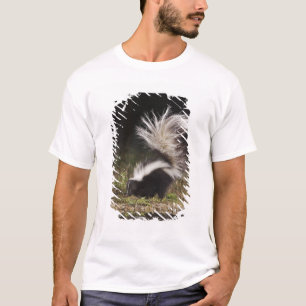 T-shirt Stried Skunk, Mephitis mephitis