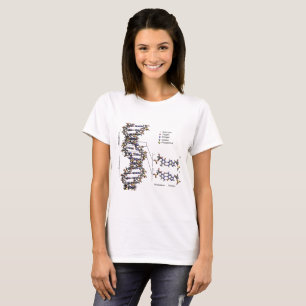 T-shirt Structure de l'ADN Diagramme des bases acides déso