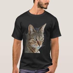 T-shirt Stunning Tabby Cat Close Up Portrait Vector
