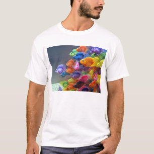 T-shirt Suivez-moi