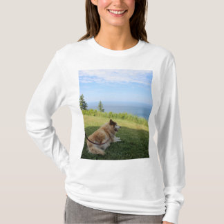 T-shirt Suka Profitant Du Cap George