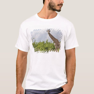 T-shirt Sur le safari en Tanzanie, l'Afrique. 2