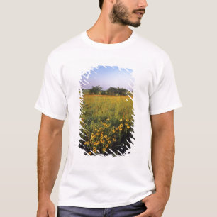 T-shirt Susans aux yeux noirs dans la prairie à herbes ha