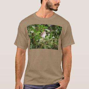 T-shirt Swainsons Thrush