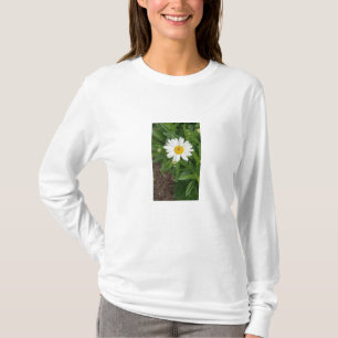 T-shirt Sweatshirt blanc de marguerite