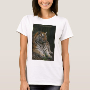 T-shirt Sweatshirt de tigresse